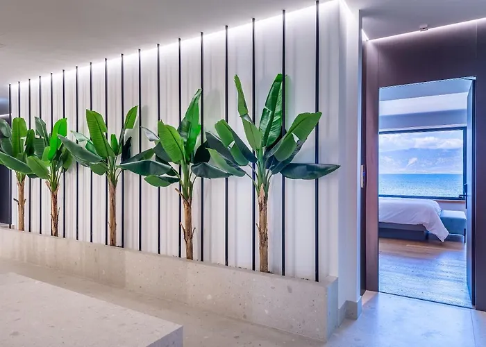 Amario 5* 아이기오